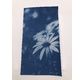 Enjoy Art 30 Feuilles Cyanotype A4