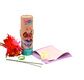 ENJOY ART Kit fils chenille bouquet Hélia Twisties
